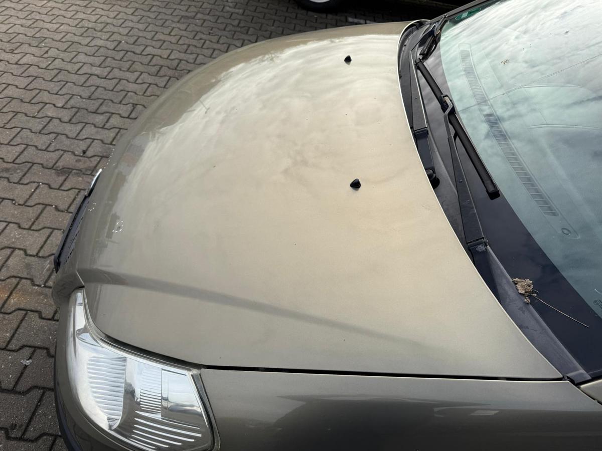 Fiat Sedici 189 FY original Motorhaube 984 Sandmetallic BJ08